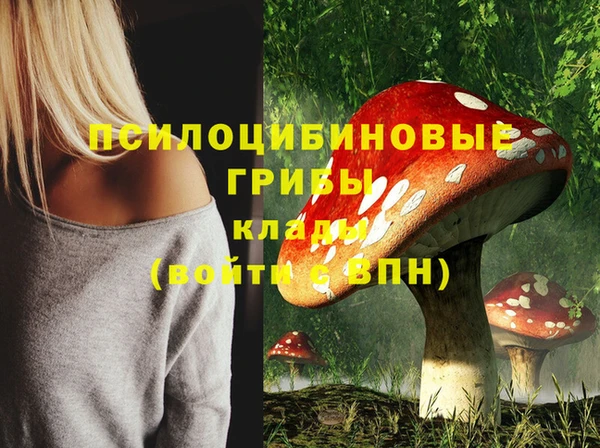мескалин Горнозаводск