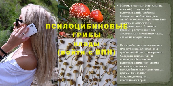не бодяженный Гусев