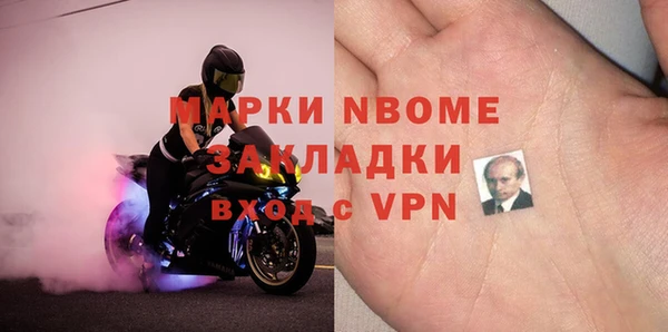 стаф Дмитровск