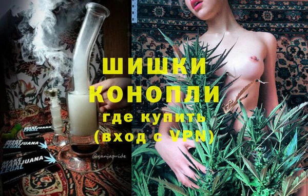 не бодяженный Гусев