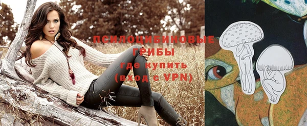 герыч Гусь-Хрустальный