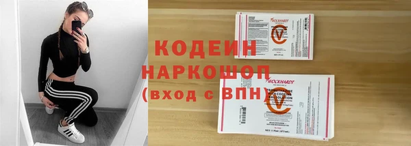 стаф Дмитровск