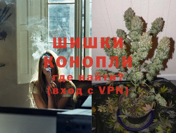 стаф Дмитровск