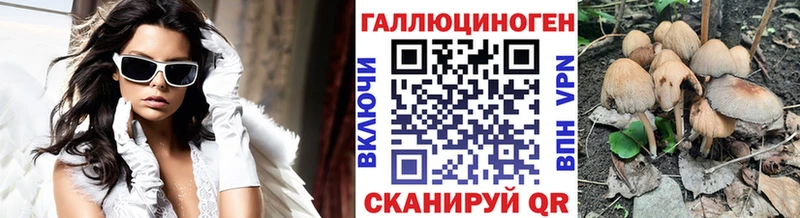 Галлюциногенные грибы мицелий  Маркс 