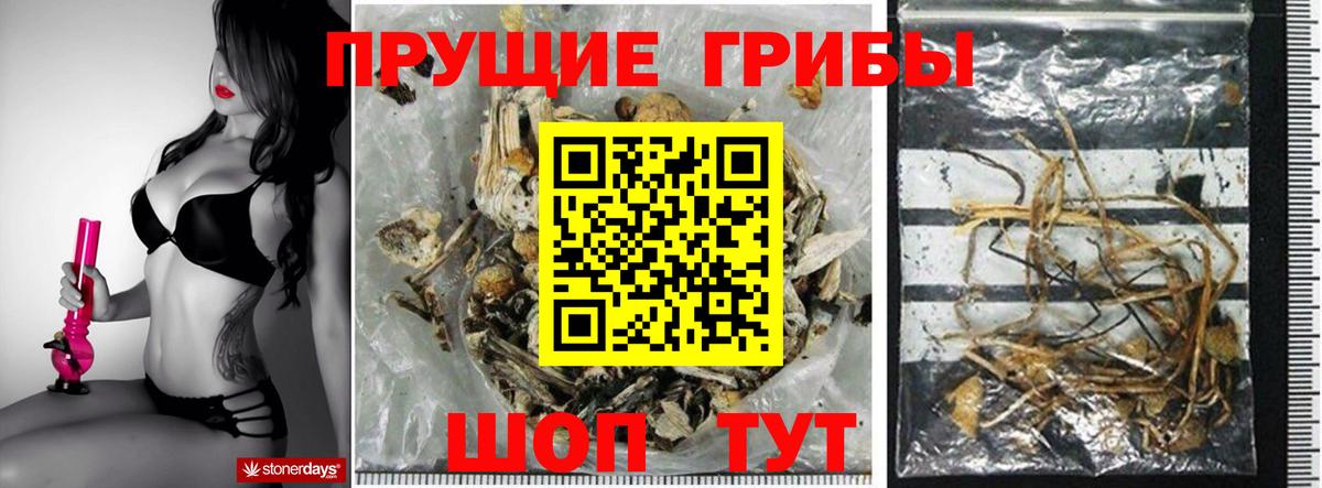 Галлюциногенные грибы Psilocybe  Псилоцибиновые грибы мицелий  Маркс  Вход с VPN 